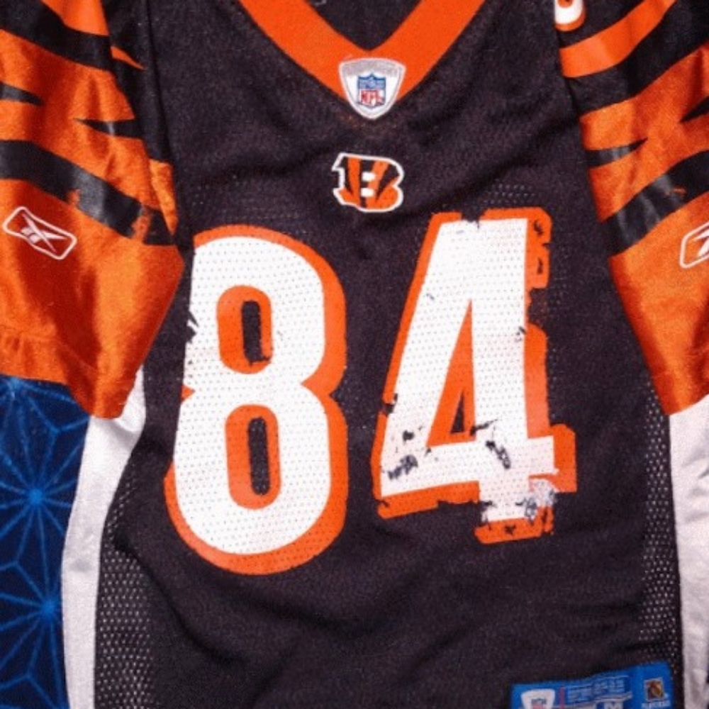 Size M Bengals 84 Houshmanzadeh Jersey